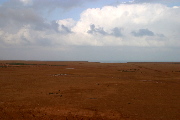 Coastline south of Tan Tan Plage, view East